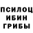 Псилоцибиновые грибы Magic Shrooms Guntur Suparmono
