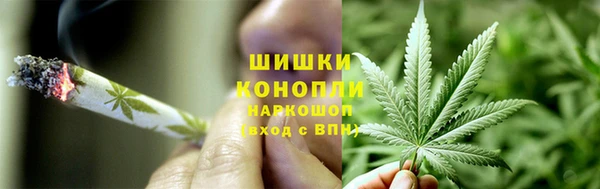 молекула духа Навашино