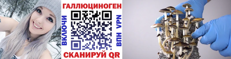 Галлюциногенные грибы Psilocybe  гидра ССЫЛКА  Покачи  что такое наркотик 